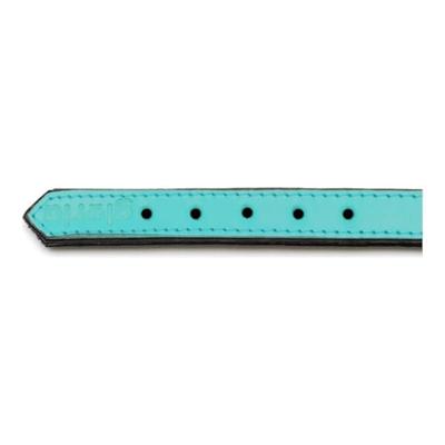 Hondenhalsband Gloria Gestoffeerd Turquoise 40 cm (40 x 2 cm)