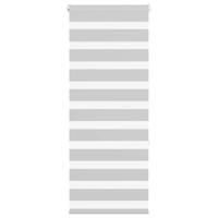 VidaXL Zebra rolgordijn 60x150 cm stofbreedte 55,9 cm lichtgrijs - thumbnail