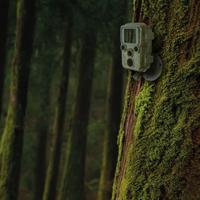Braun Scouting Cam Black800 Mini Outdoor-Cam - thumbnail