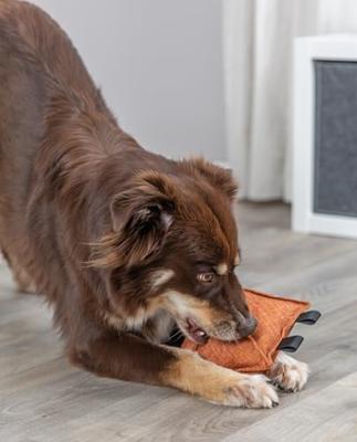 TRIXIE CITYSTYLE HONDENSPEELGOED RUIT STOF GERECYCLED 26 CM 2 ST - thumbnail