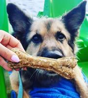 SYTA MICHA Puppy kauwbot - hondenkauwbot - 13,5 cm - thumbnail