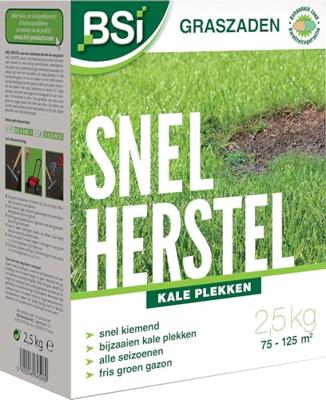BSI - Graszaad - Snelle reparatie - Met beschermende coating - Hoge kwaliteit - tot 125m² - 2,5 kg