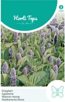 Zaden Agastache Dropplant (mexicana) Hortitops - Hortitops - thumbnail