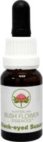 Australian Bush Black eyed Susan 15 Milliliter - thumbnail