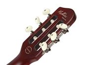 Godin Multiac Nylon Natural HG elektrisch-akoestische klassieke gitaar met gigbag - thumbnail