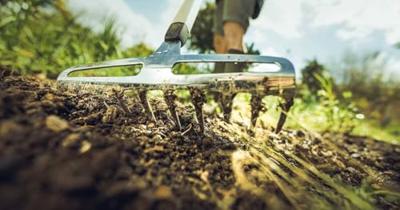 Fiskars 1027038 Hark - thumbnail