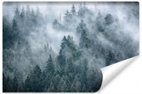 Fotobehang - Mistig bos, premium print, inclusief behanglijm - thumbnail