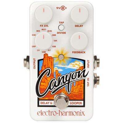Electro Harmonix Canyon Delay & Looper pedaal Electro Harmonix Canyon Delay & Looper pedaal