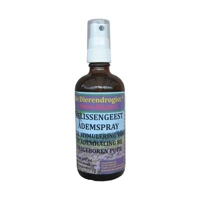 MELISSENGEEST ADEMSPRAY PUP 100 ML