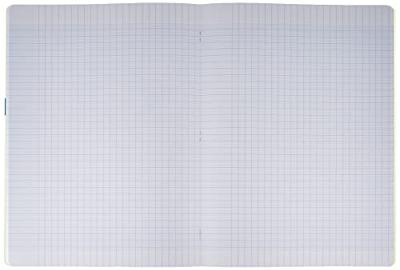 Clairefontaine schrift Mimesys voor ft A4+, 96 bladzijden, kaft in PP, seyès, groen