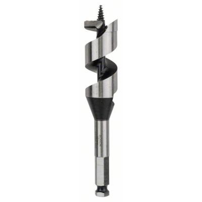Bosch Accessoires Houtslangenboor, zeskant 28 x 100 x 160 mm, d 11,1 mm 1st - 2608585710 Bosch Accessoires Houtslangenboor, zeskant 28 x 100 x 160 mm, d 11,1 mm 1st - 2608585710