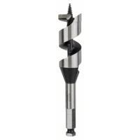 Bosch Accessories 2608585710 Slangenboor 28 mm Gezamenlijke lengte 160 mm Zeskant schacht 1 stuk(s) - thumbnail