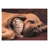 Clementoni legpuzzel hond en kat, 500st. - thumbnail