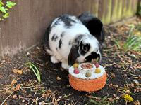 Rosewood rosweood naturals verjaardagstaart - thumbnail