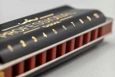 Cascha HH 2025 Professional Blues Harmonica in C