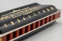 Cascha HH 2025 Professional Blues Harmonica in C - thumbnail