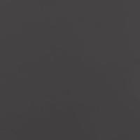 Plantenbak driehoek 50x43x75 cm staal zwart - thumbnail