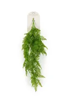 Mannetjesvaren hangend l35cm groen - thumbnail