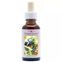 Animal Essences Salamander 30 Milliliter - thumbnail