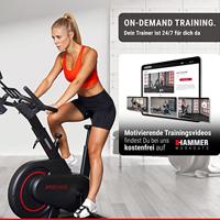 Hammer Speedbike Speed Race - thumbnail