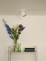 Lucide NIGEL - Plafondspot - LED Dim to warm - GU10 - 1x5W 2200K/3000K - Wit - thumbnail