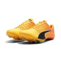 PUMA evoSPEED FUTURE 6 - thumbnail