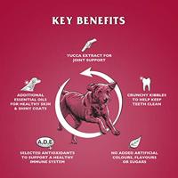 DR JOHN Silver Beef - droog hondenvoer - 15kg - thumbnail