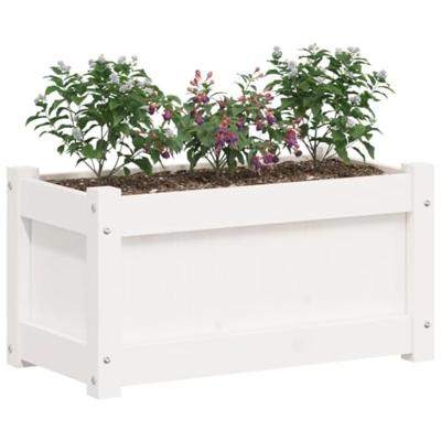 VidaXL Plantenbakken 2 st cm massief grenenhout wit