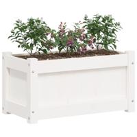 VidaXL Plantenbakken 2 st cm massief grenenhout wit - thumbnail