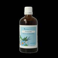 Balancepharma Betula pubescens tincturen 100 Milliliter - thumbnail