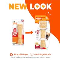 Nylabone Dura Chew souper bot original NS105 Nylabone Gebr. de Boon - Gebr de boon - thumbnail