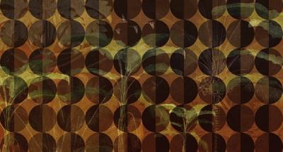 Muance Muance Fotobehang Tropicana Spheres - MU11003