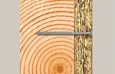 Schroevenkit Fischer fpfii fixtainer 558778