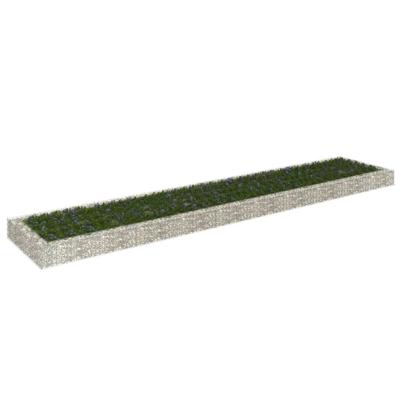 Gabion plantenbak verhoogd 500x100x20 cm gegalvaniseerd staal Gabion plantenbak verhoogd 500x100x20 cm gegalvaniseerd staal