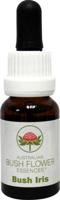 Australian Bush Australian Bush Bush Iris (15ml) - thumbnail