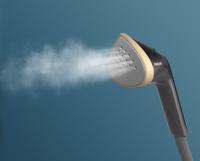 Philips Home STE3170/80 Stoomontkreuker Zwart 2000 W - thumbnail