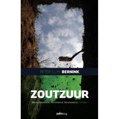 Zoutzuur - Peter J.L.M. Bernink - Paperback (9789493059306)