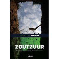 Zoutzuur - Peter J.L.M. Bernink - Paperback (9789493059306) - thumbnail