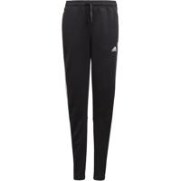 adidas Performance Designed2Move trainingsbroek zwart/wit - thumbnail