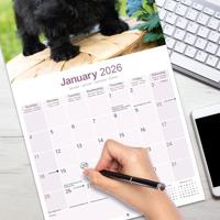 Schotse Terrier Kalender 2026 - thumbnail