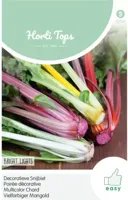 Zaden Snijbiet Bright Lights (Regenboog) Hortitops - Hortitops - thumbnail