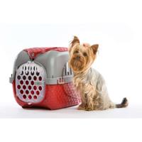 Bama Pet Transportbox 59x38x37 cm Rood/Zilver - thumbnail