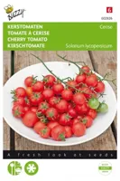 Kerstomaat cerise - thumbnail