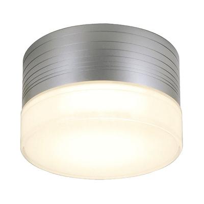 Plafondlamp MICRO FLAT zilvergrijs/glas gesatineerd 1xGX53