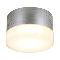 Plafondlamp MICRO FLAT zilvergrijs/glas gesatineerd 1xGX53 - thumbnail