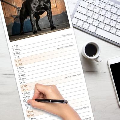 Staffordshire Bull Terrier Kalender 2026 Slimline
