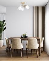 Activejet AJE-EMILY 3P GD plafondverlichting E27 120 W - thumbnail