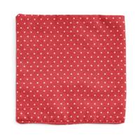 Schleich horse club trip naar het zwemmeer 42751 - thumbnail