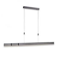 Neuhaus PURE Hanglamp e-Slide L 120-200 cm donker grijs - thumbnail