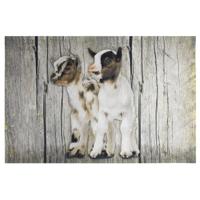 Deurmat Witte Dwerggeitjes (75 x 50 cm) - thumbnail